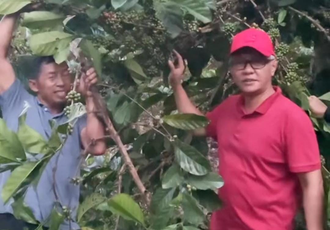 Legislator Kalimantan Timur Muhammad Samsun berkunjung ke Kampung Kopi Luwak (Dok. Tekapekaltim)