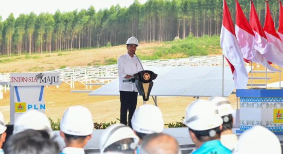 Jokowi saat berkunjung ke IKN (dok:X/jokowi)