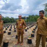 Kepala Dinas Perkebunan Kalimantan Timur Ahmad Muzakkir bersama UPTD meninjau lokasi pembibitan di Kutai Kartanegara (dok: Tekapekaltim)