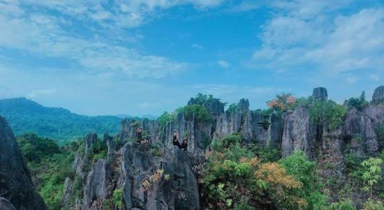 Bukit Sembinai, Kabupaten Paser, Kalimantan Timur. (Gmaps: Hadi Rizani)