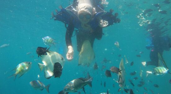 Wisatawan yang menikmati keindahan bawah Laut di Kepulauan Derawan, Berau, Kalimantan Timur. (indonesia travel)