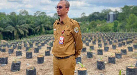 Ahmad Muzakkir, Kepala Dinas Perkebunan Kalimantan Timur. (dok. Tekapekaltim)