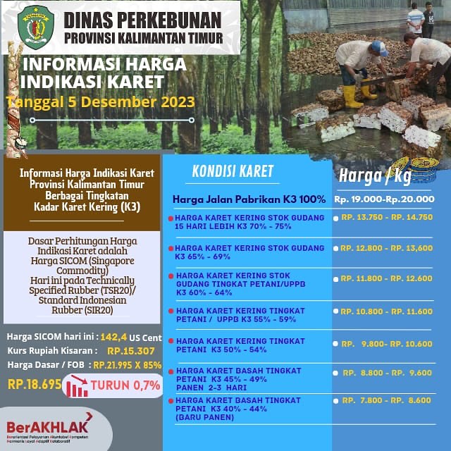 Informasi Harga Indikasi Karet Terbaru Dinas Perkebunan Kalimantan Timur