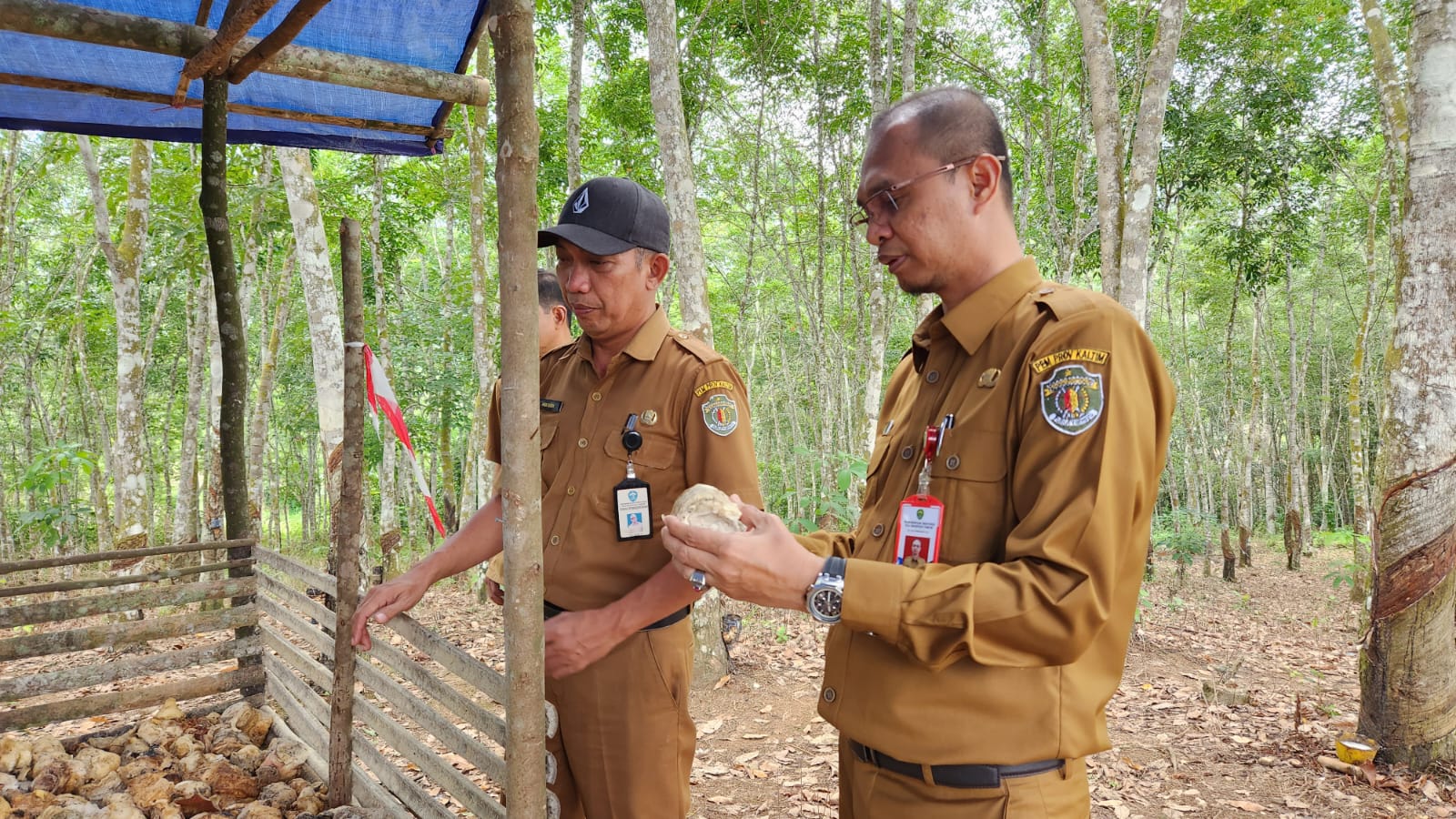 Kepala Dinas Perkebunan Kalimantan Timur, Ahmad Muzakkir (dok. Pribadi)
