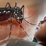 Kasus Demam Berdarah Dengue (DBD) Kembali Melonjak di Kota Bontang