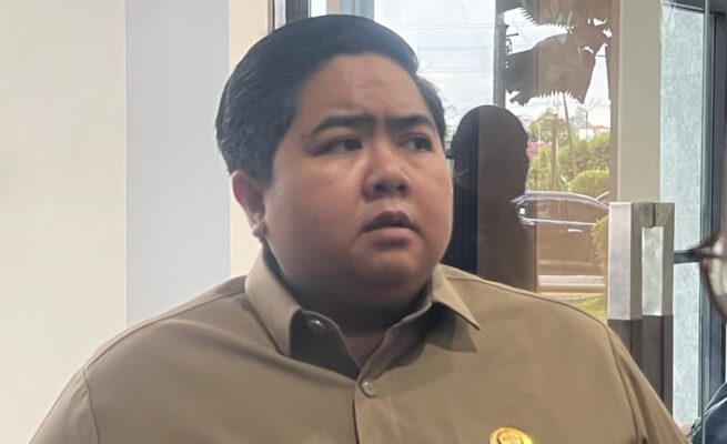 Wakil Ketua DPRD Kaltim, Nanda Emira Moeis.(TEKAPEKALTIM/Raf).